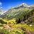 valle