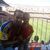 Jose Maria Bru