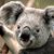 Victor