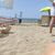 Basi