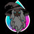 Anibal