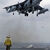 Harrier