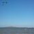 Rocio