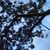 Vale Salazar