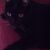 Jose l