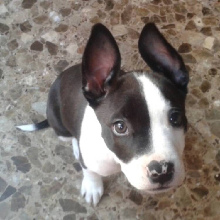Foto de perfil de aida