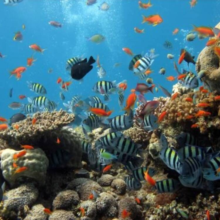 Foto de perfil de Mónica