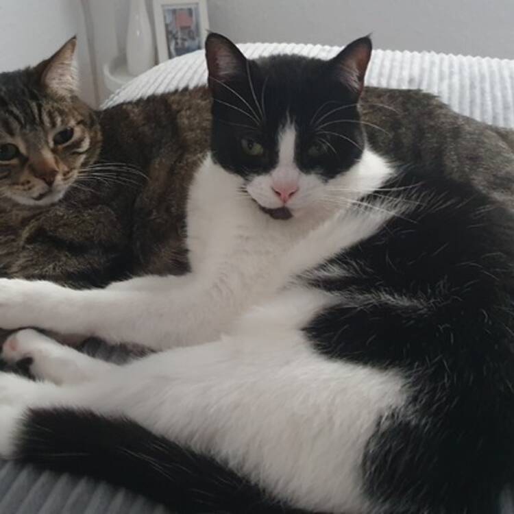 Foto de perfil
