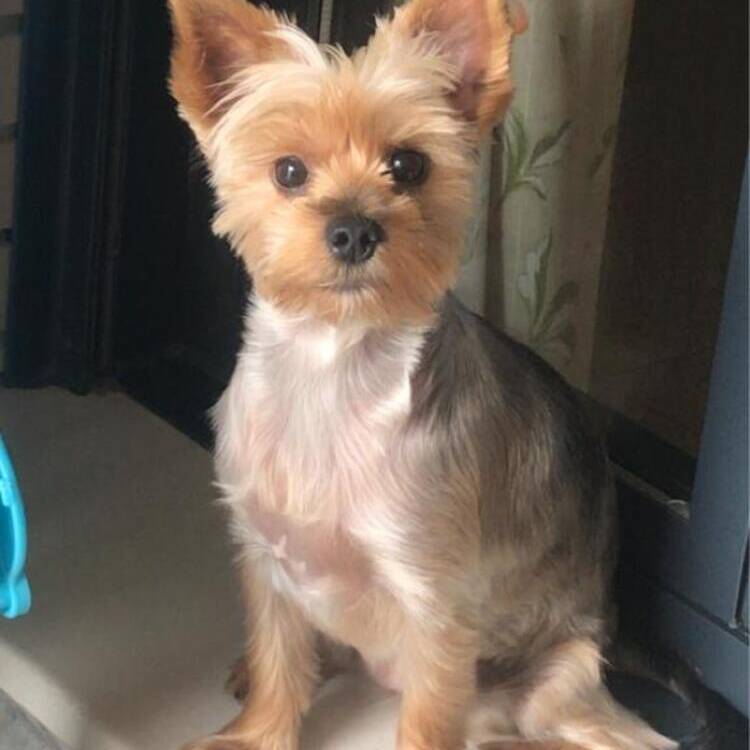 Foto de perfil