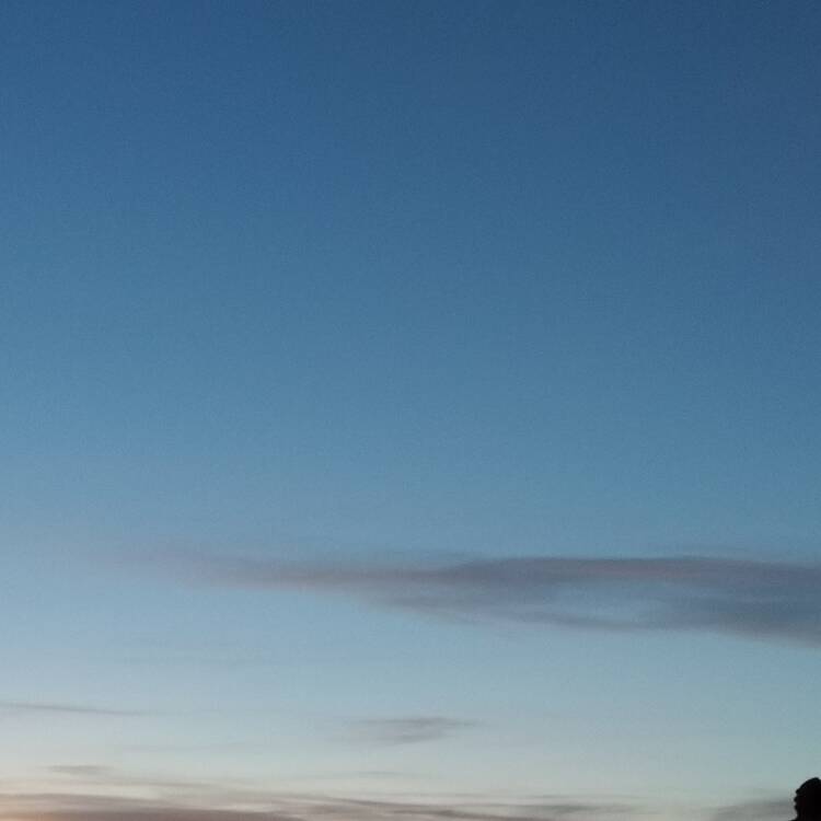 Foto de perfil de Edu