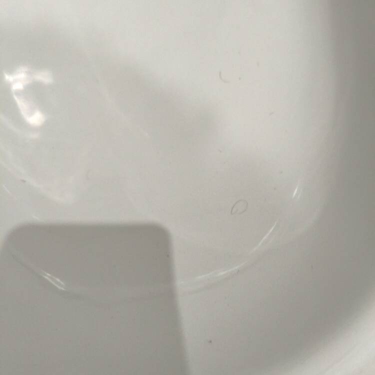 Foto de perfil de Mario