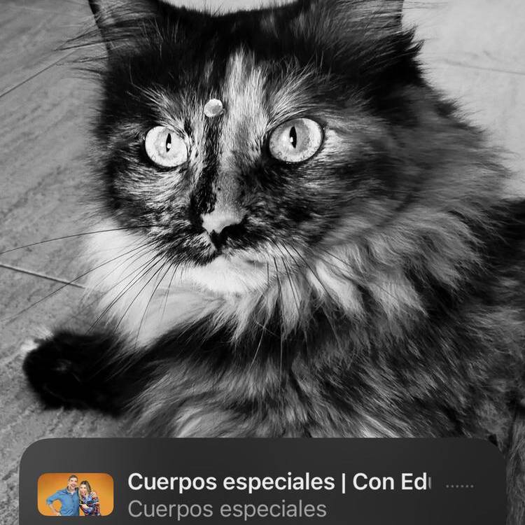 Foto de perfil de Jordi