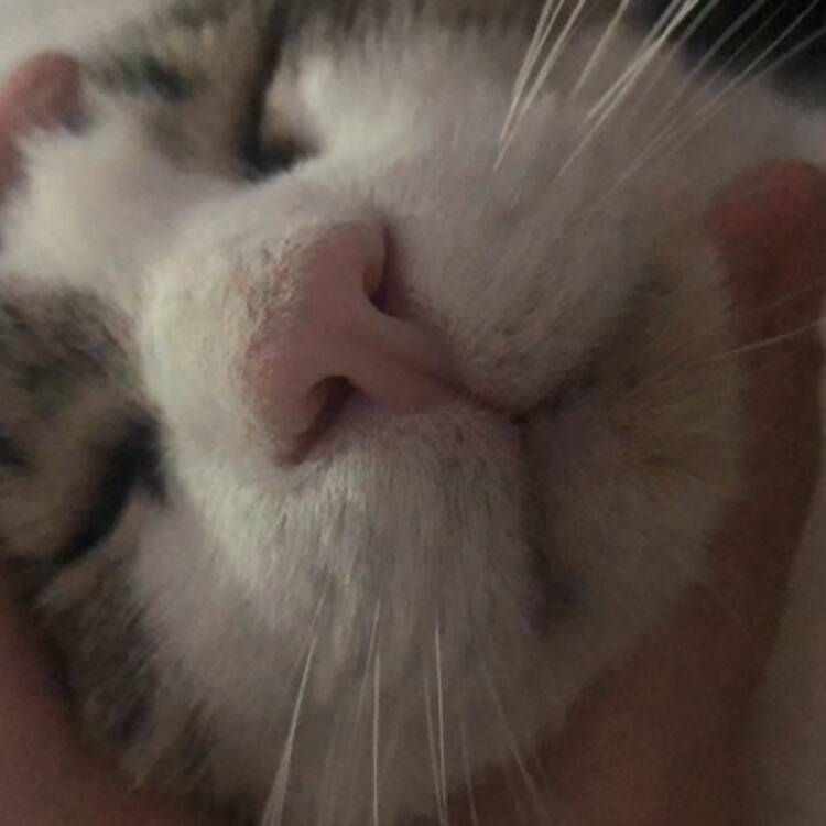 Foto de perfil de merio