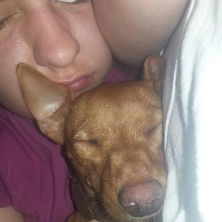 Foto de perfil