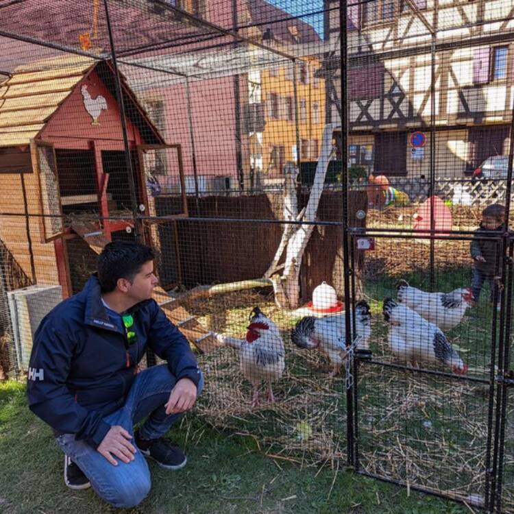Foto de perfil