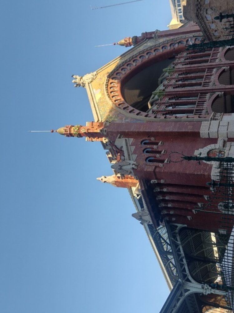 Foto de perfil de Celia