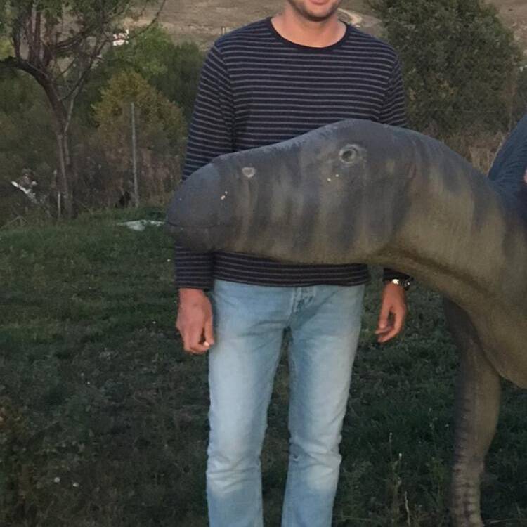 Foto de perfil