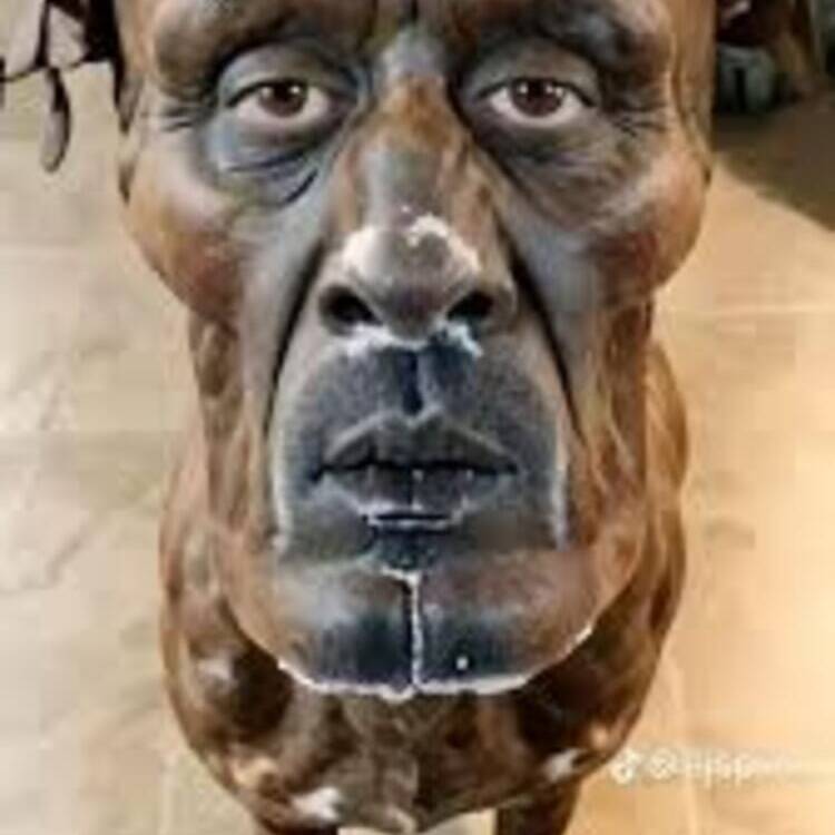Foto de perfil de Albert
