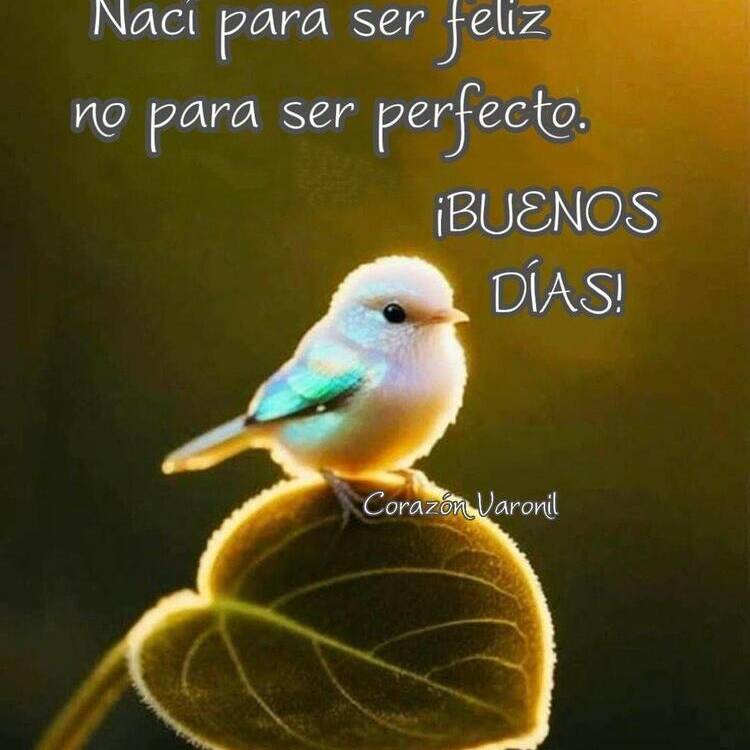 Foto de perfil