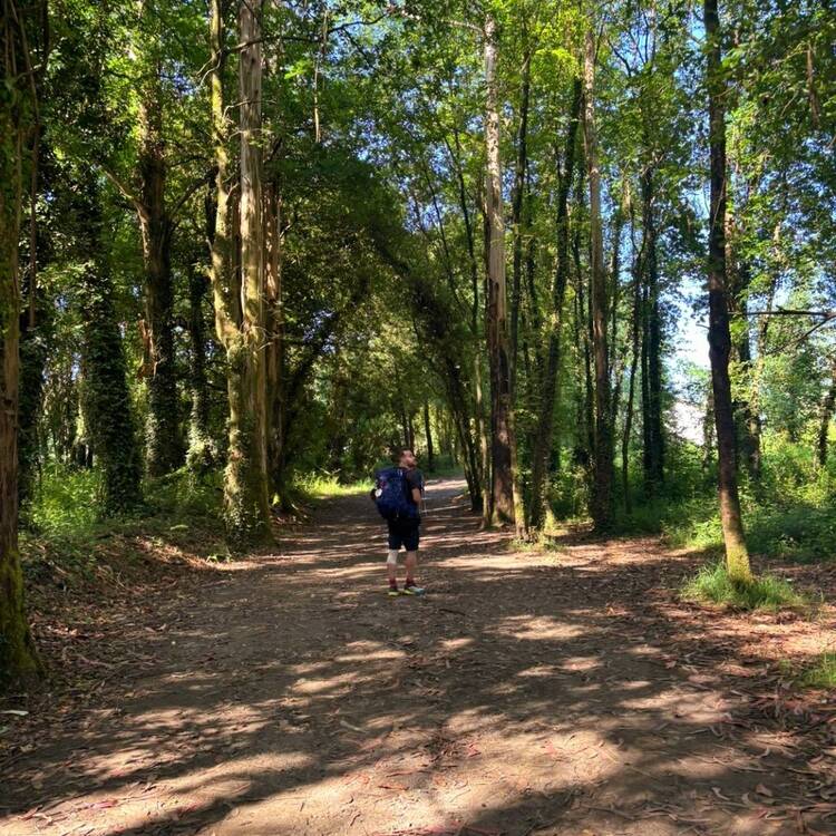 Foto de perfil de Jesus