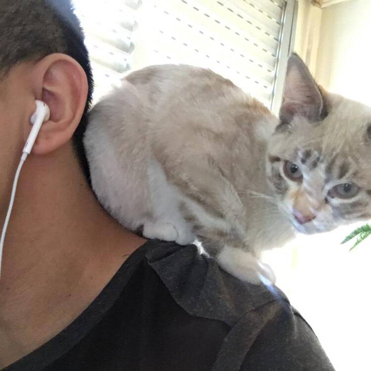 Foto de perfil