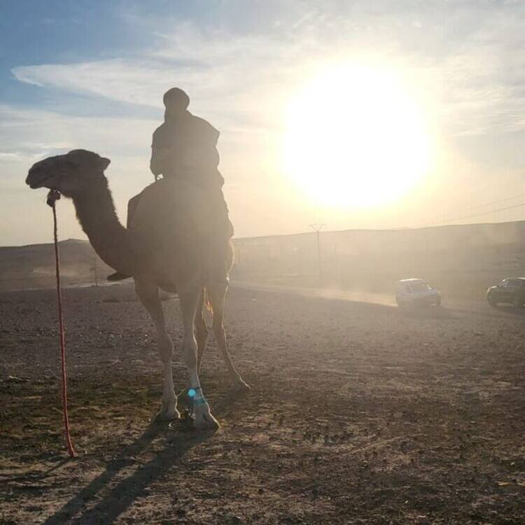 Foto de perfil