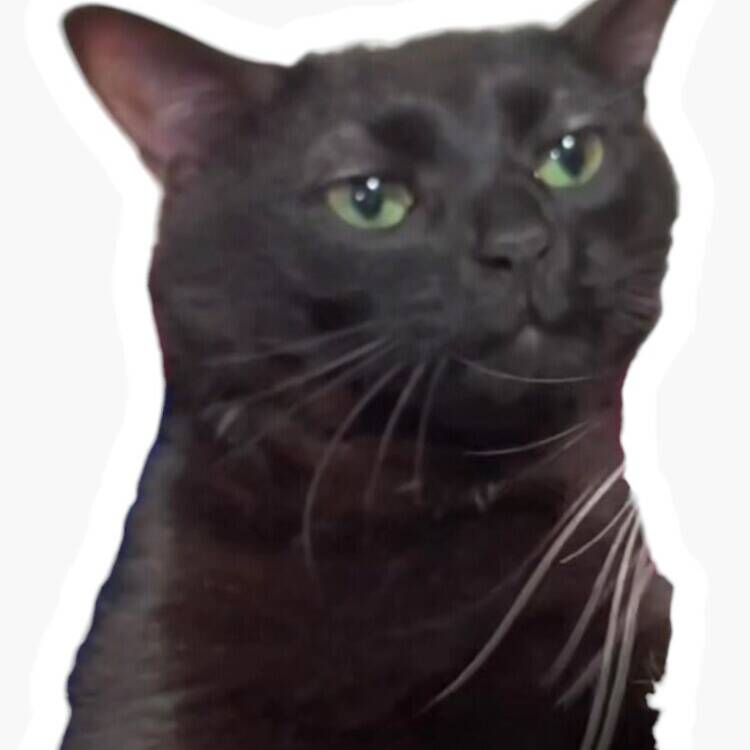 Foto de perfil de Yanero