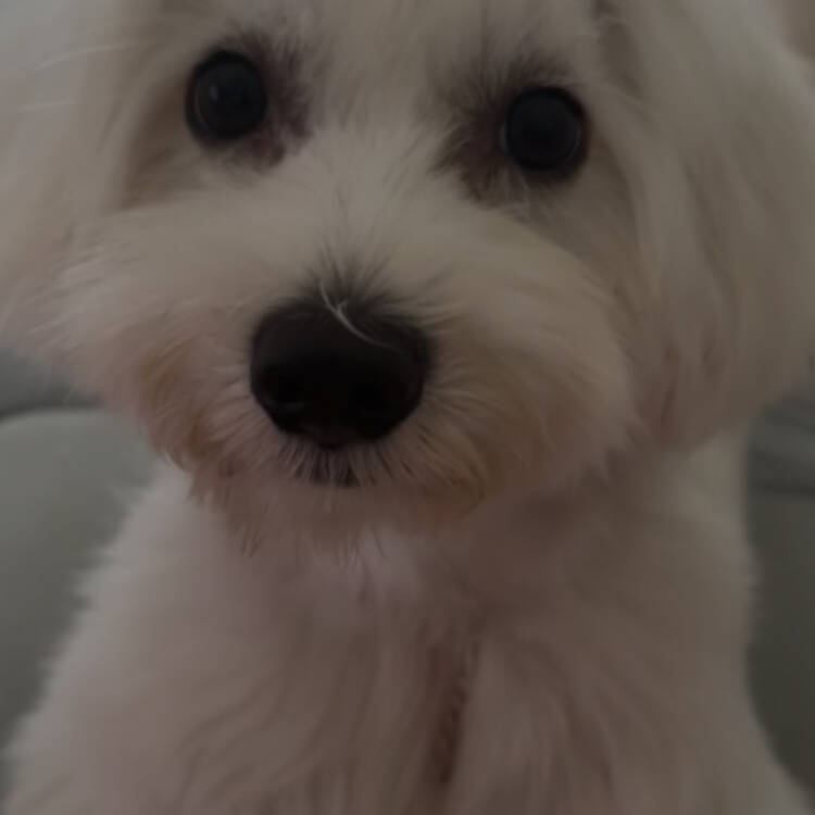 Foto de perfil de Angel