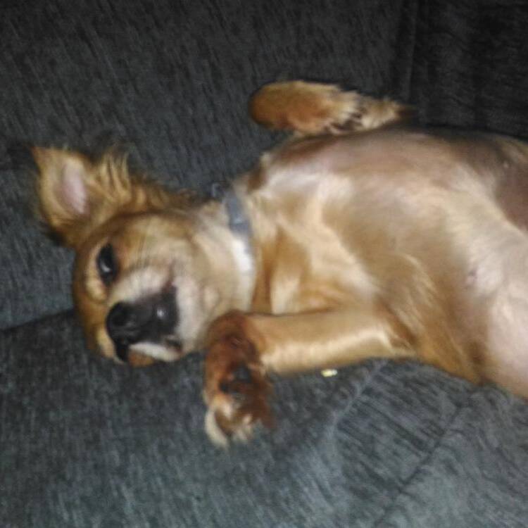 Foto de perfil