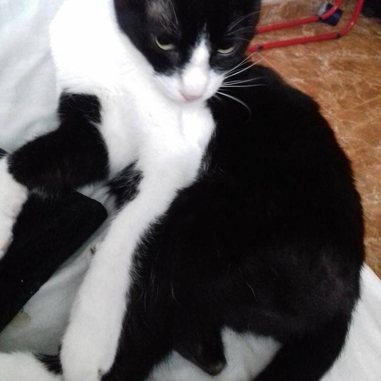 Foto de perfil