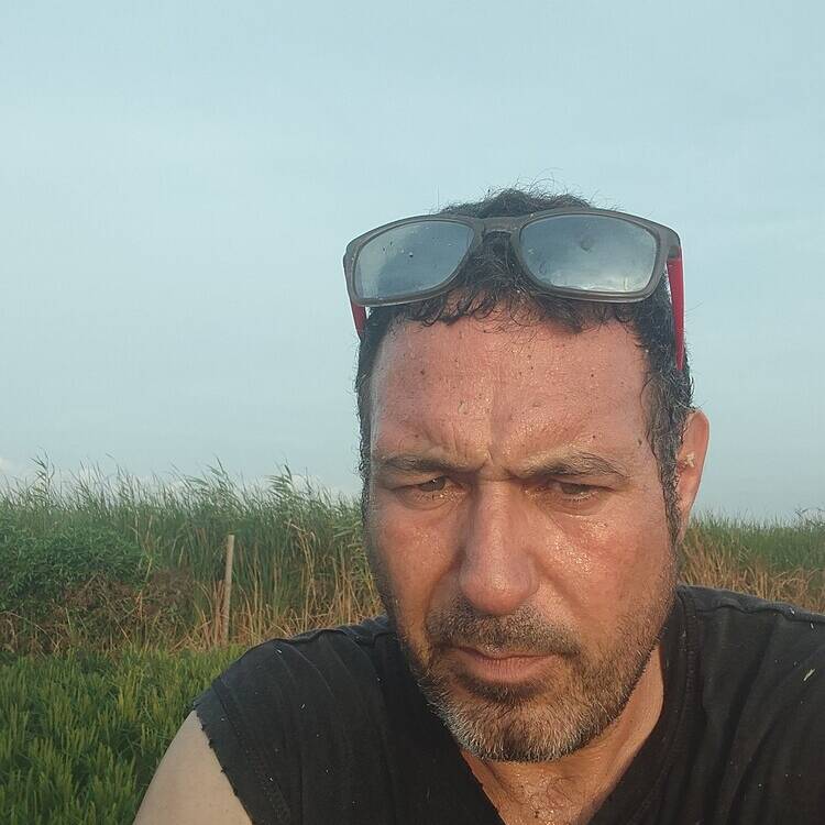 Foto de perfil de David