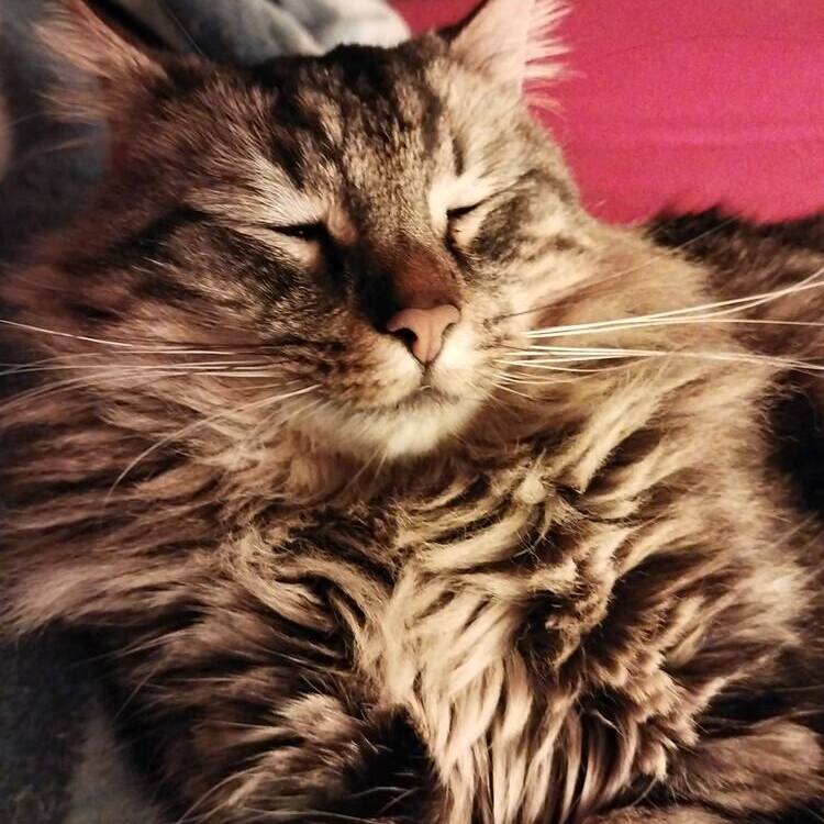 Foto de perfil de Gio