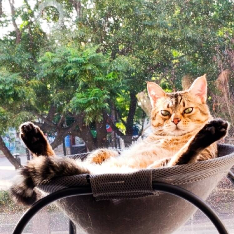 Foto de perfil de Zel