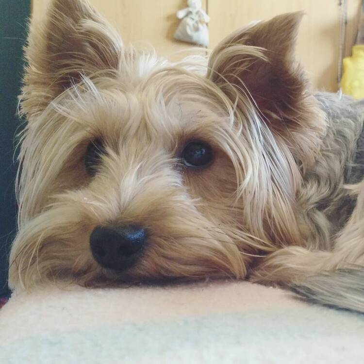 Foto de perfil