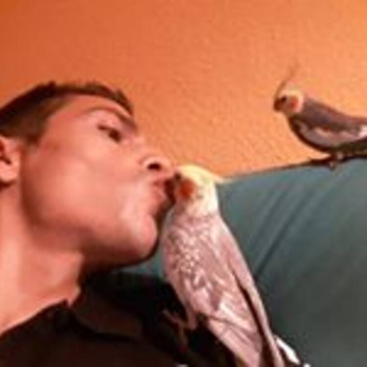 Foto de perfil