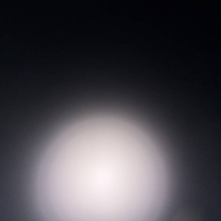Foto de perfil de Guillr