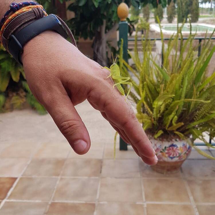Foto de perfil