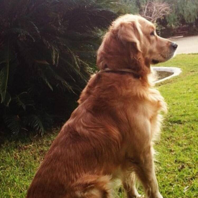 Foto de perfil de Roma