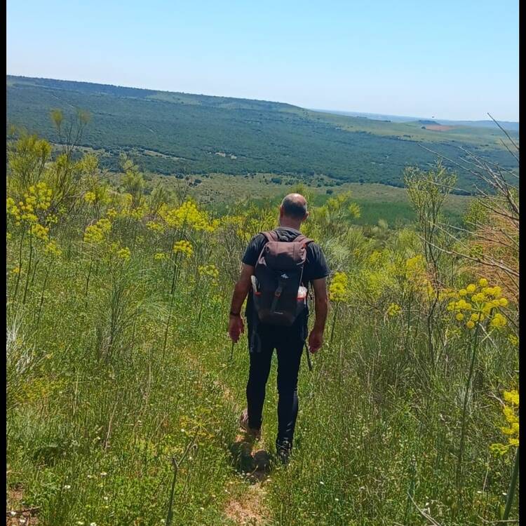 Foto de perfil