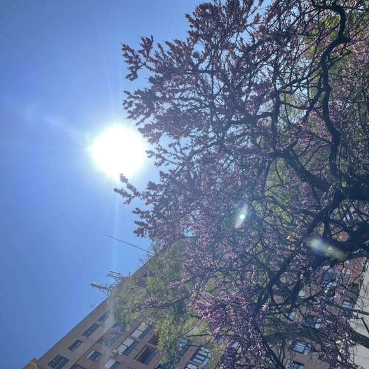 Foto de perfil de Angeles