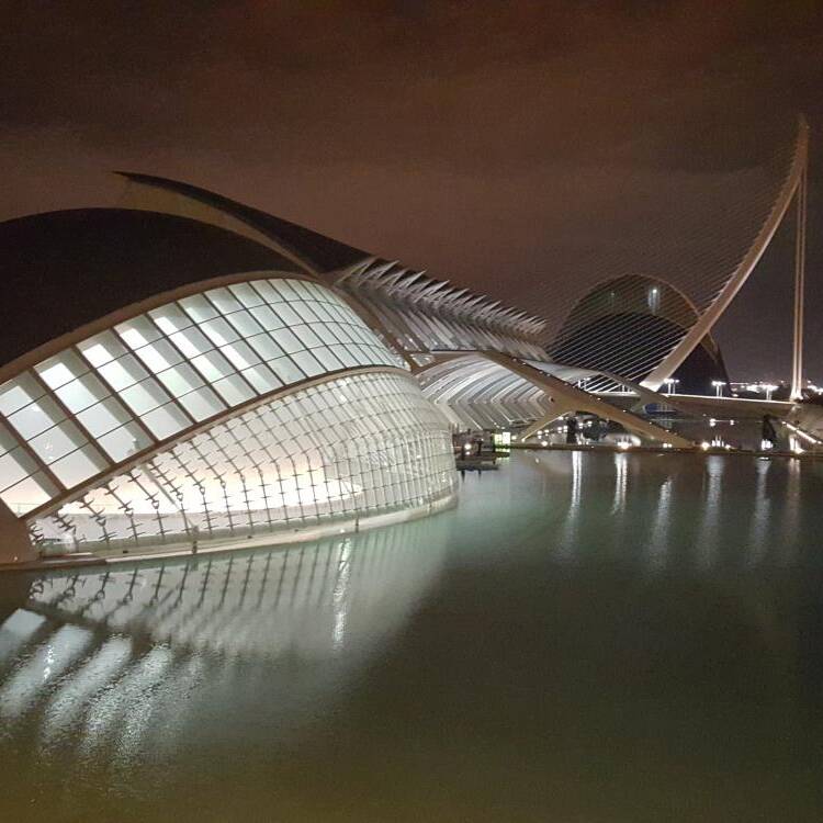 Foto de perfil de Lucia