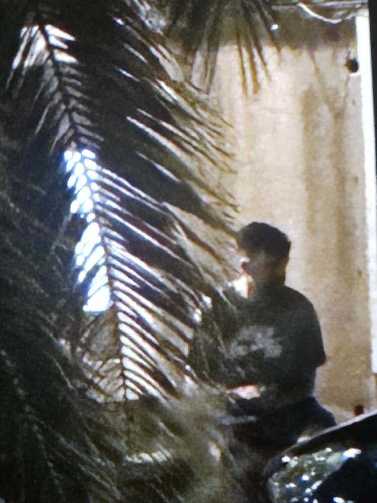 Foto de perfil de Ramón