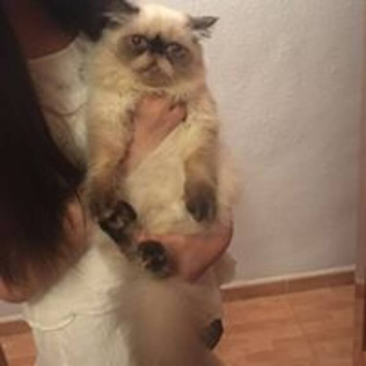 Foto de perfil