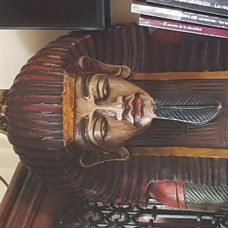 Foto de perfil de Carlos