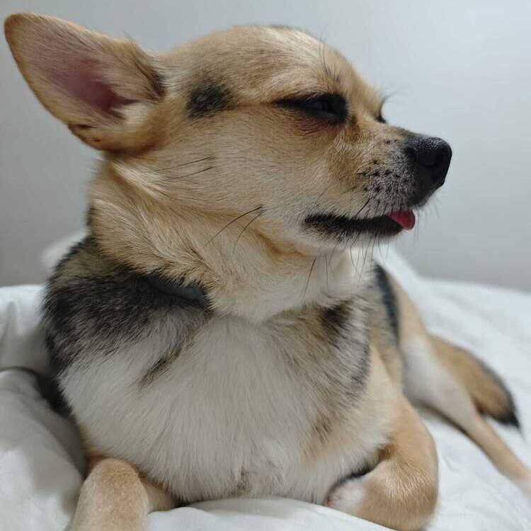 Foto de perfil de Laura