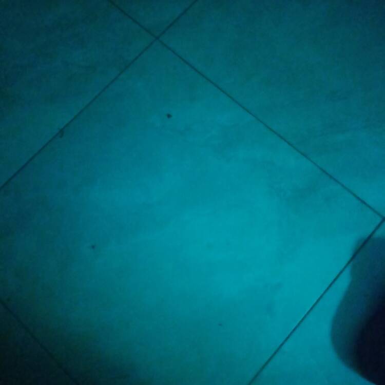 Foto de perfil de Pepito