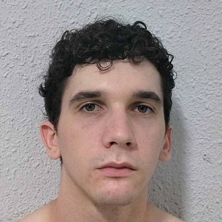 Foto de perfil de Nicola
