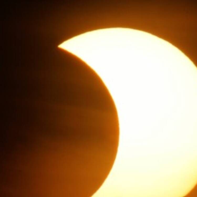 Foto de perfil de Pedro