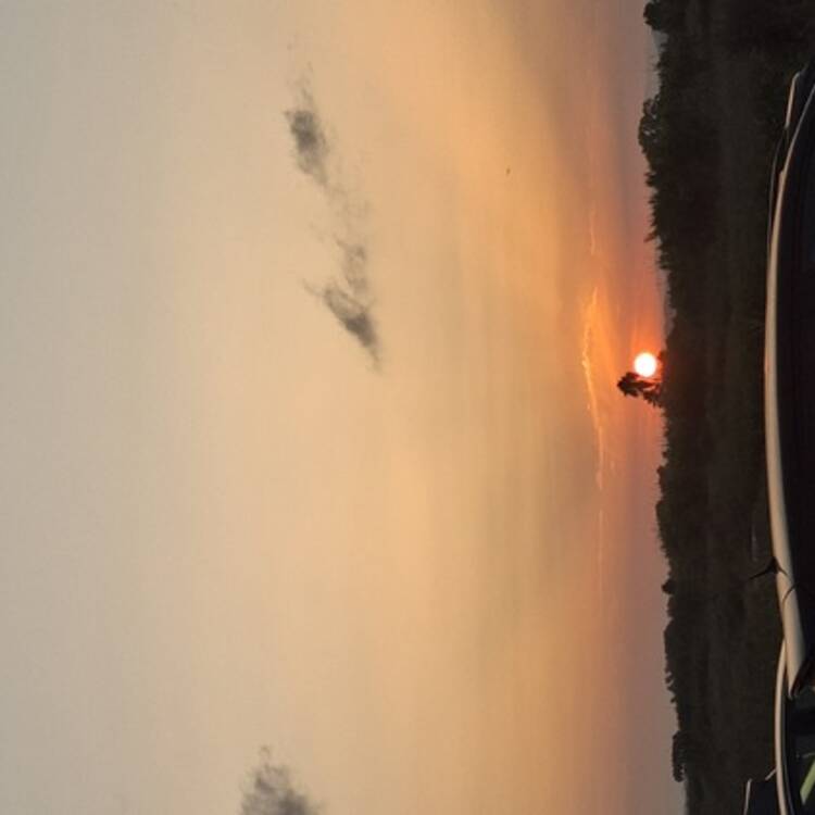 Foto de perfil de Naila