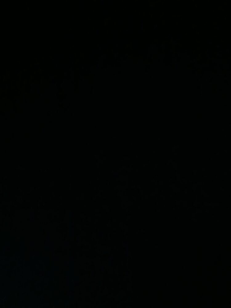 Foto de perfil de Jorge